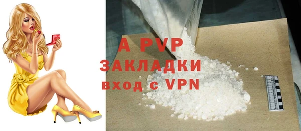 ПСИЛОЦИБИНОВЫЕ ГРИБЫ Заволжье