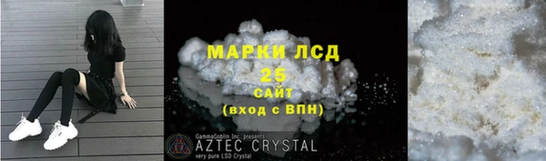 ПСИЛОЦИБИНОВЫЕ ГРИБЫ Елизово